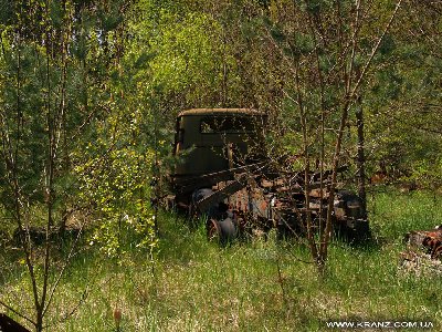 zil_11.jpg